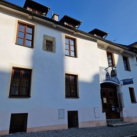 Pension U Martina Domazlice Exterior photo